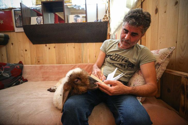 Mersin'de köpeği kaybolan marangoz, annesi ölen kuzuya sahip çıktı G5