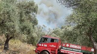 SON DAKİKA | Bodrum'da orman yangını! Çok sayıda ekip sevk edildi