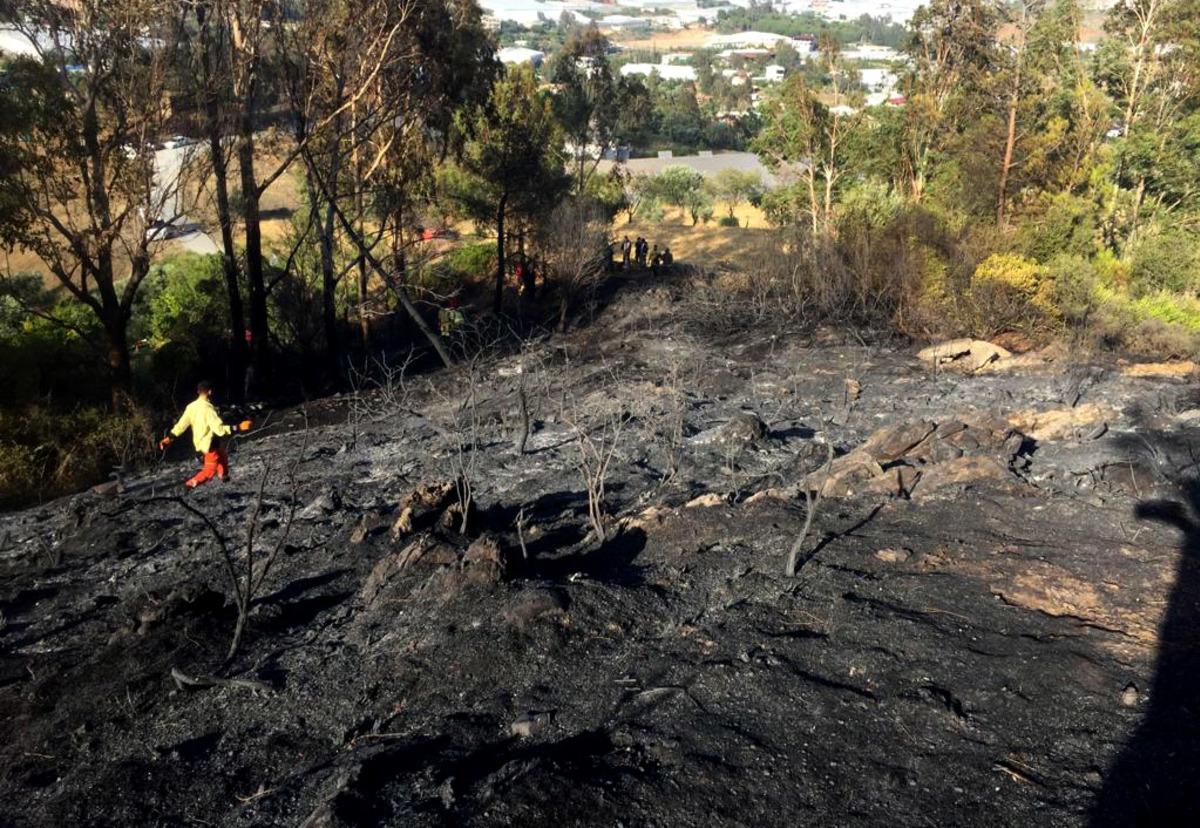 Mersin'de tarım arazisinde &ccedil;ıkan yangın kontrol altına alındı