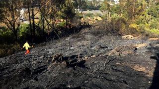 Mersin'de tarım arazisinde çıkan yangın kontrol altına alındı