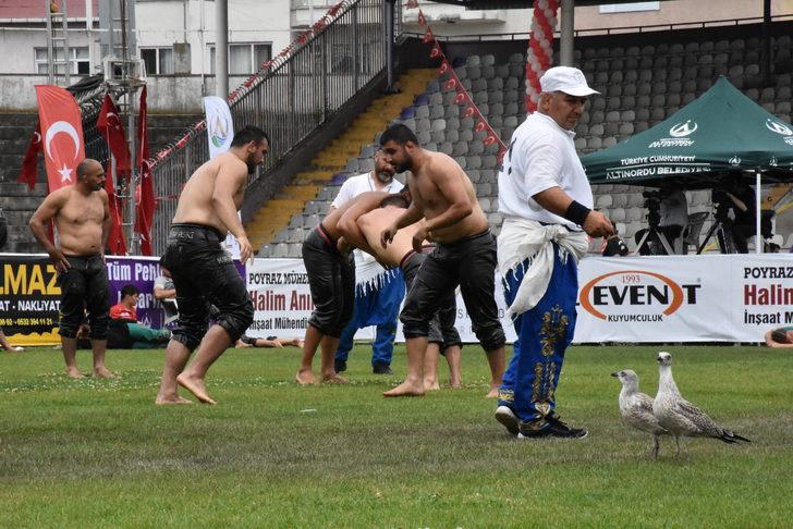 Altınordu Yağlı Güreşleri'nde Hasan Cengiz başpehlivan oldu G4