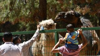 Gaziantep Hayvanat Bahçesi'nde bayram yoğunluğu