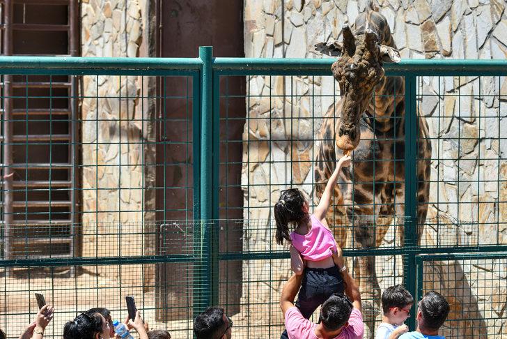 Gaziantep Hayvanat Bahçesi'nde bayram yoğunluğu G5