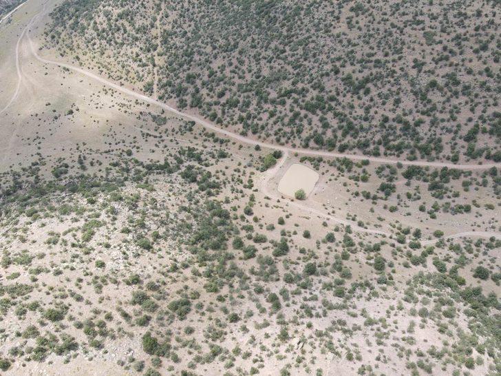 Konya'da kaybolan 21 koyun dron ile bulundu G4