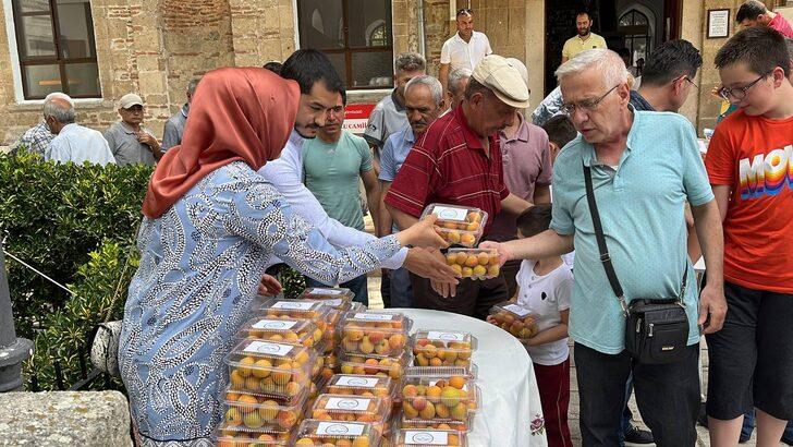 Isparta'da öğrenciler, okulun bahçesinde ilaç kullanmadan kayısı yetiştirdi G2