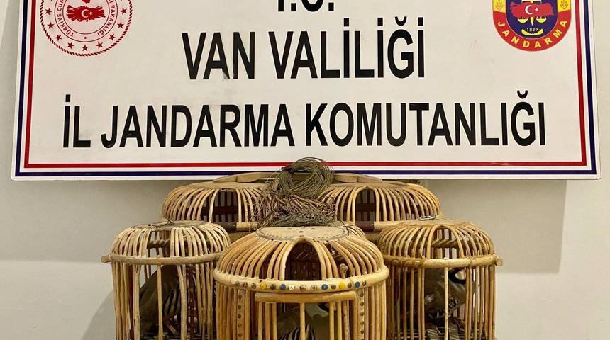 Van'da bir araçta 5 keklik ele geçirildi