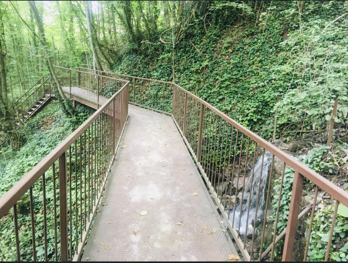 Selden zarar g&ouml;ren Samandere Şelalesi Tabiat Anıtı ziyarete a&ccedil;ıldı