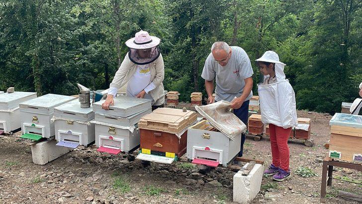 Zonguldak'ta kadınlar arı yetiştiriciliğini uygulamalı öğreniyor G3