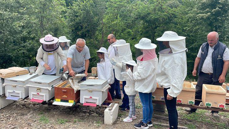 Zonguldak'ta kadınlar arı yetiştiriciliğini uygulamalı öğreniyor G4