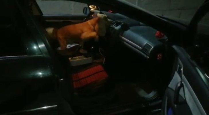 Uyuşturucu operasyonunda gözaltına alınan zanlılardan ikisi tutuklandı G1