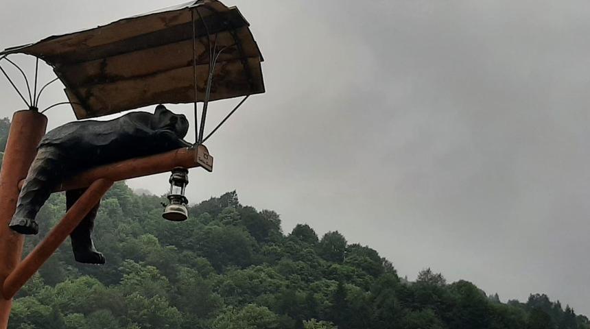 Rize'de şaşırtan görüntü! Direğe astı, gören bir daha bakıyor! 