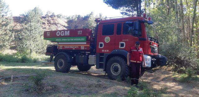 Bingöl'de çıkan orman yangını söndürüldü