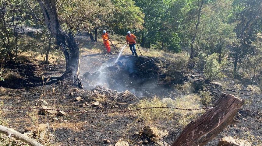 Bingöl'de çıkan orman yangını büyümeden söndürüldü