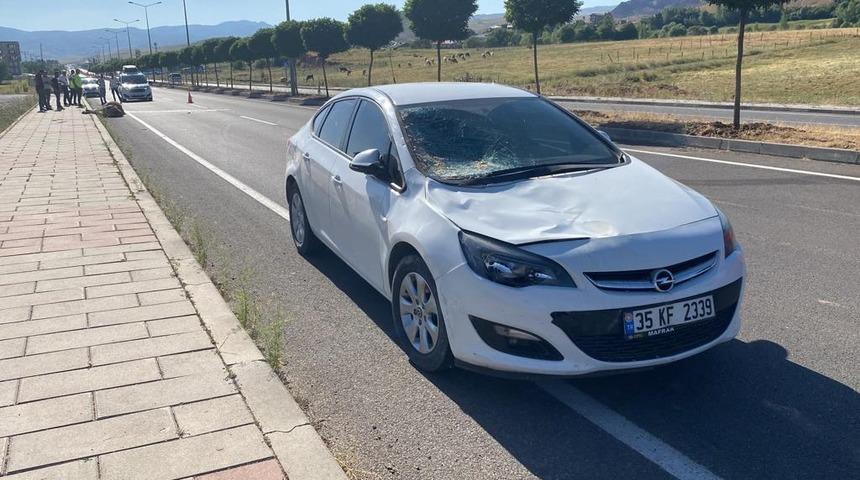 Bingöl'de ineklere çarpan iki araçta hasar oluştu