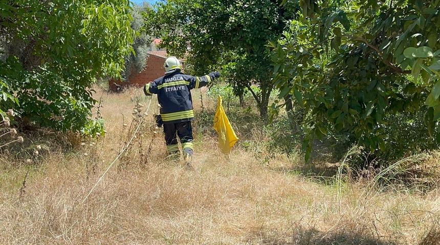 Muğla'da kuyuya düşen porsuğu itfaiye kurtardı