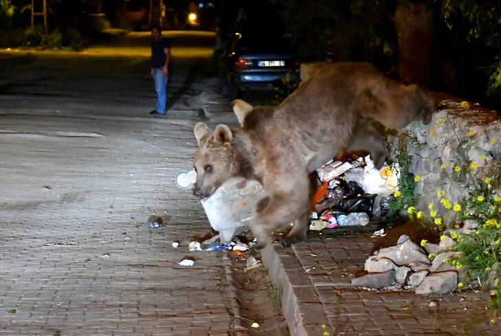 Kars'ta bozayıların çöplükteki kavgası kameraya yansıdı G2