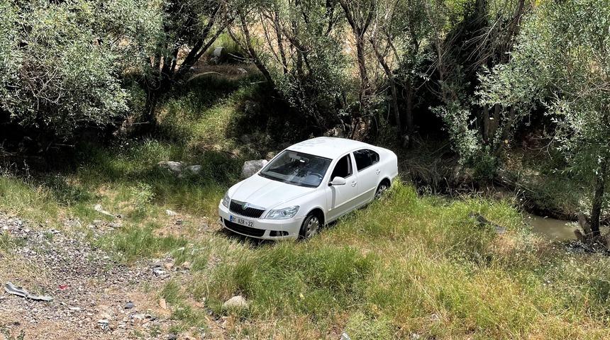 Sürücüsünü arı sokan otomobilin şarampole girmesi sonucu 4 kişi yaralandı