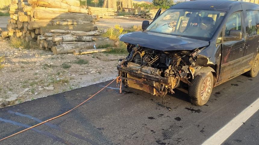 Afyonkarahisar'da hafif ticari aracın çarptığı 19 koyun telef oldu