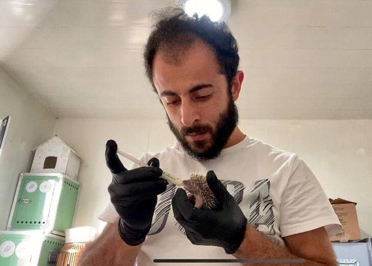 Anneleri gelmeyen yavru kirpiler koruma altına alındı G4