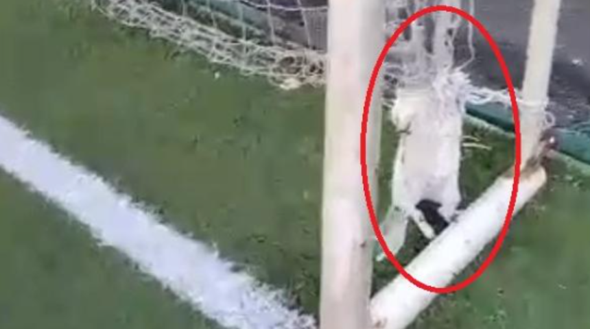 Ma&ccedil;a engel olan feci olay! Kale ağlarına bağlı olarak bulundular