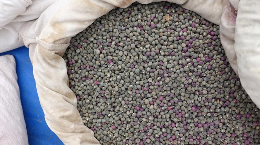 Hastalıkların şifası onda! Kanser tedavisinde kullanılıyor...