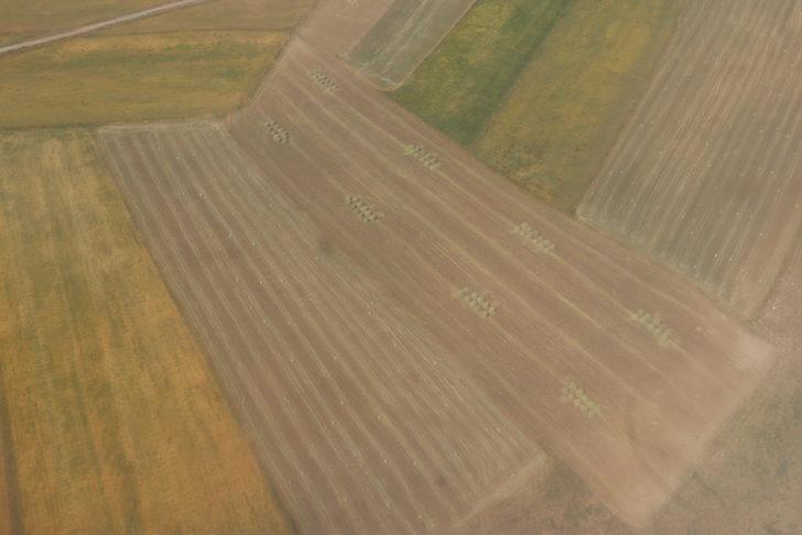 Ağrı'da çiftçilerin tarlalarda zorlu mesaisi G4