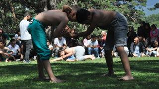 Bolu'daki güreşlerde bir sporcu ile rakibinin yakınları arasında kavga çıktı