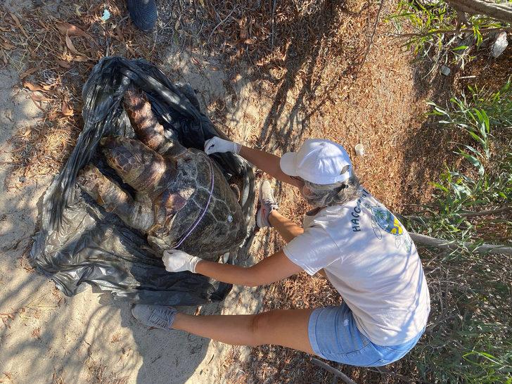 Antalya'da kıyıya vuran caretta carettanın plastik atıklardan öldüğü belirlendi G2