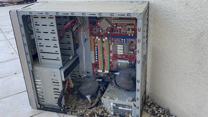 Aksaray'da evin balkonunda unutulan bilgisayar kasası güvercinlere yuva oldu G1