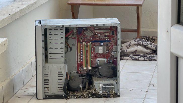 Aksaray'da evin balkonunda unutulan bilgisayar kasası güvercinlere yuva oldu G4