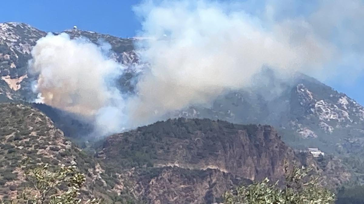 Dat&ccedil;a'da &ccedil;ıkan orman yangınına havadan ve karadan m&uuml;dahale ediliyor