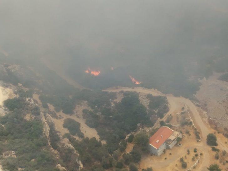 Datça'da çıkan orman yangınına havadan ve karadan müdahale ediliyor G2