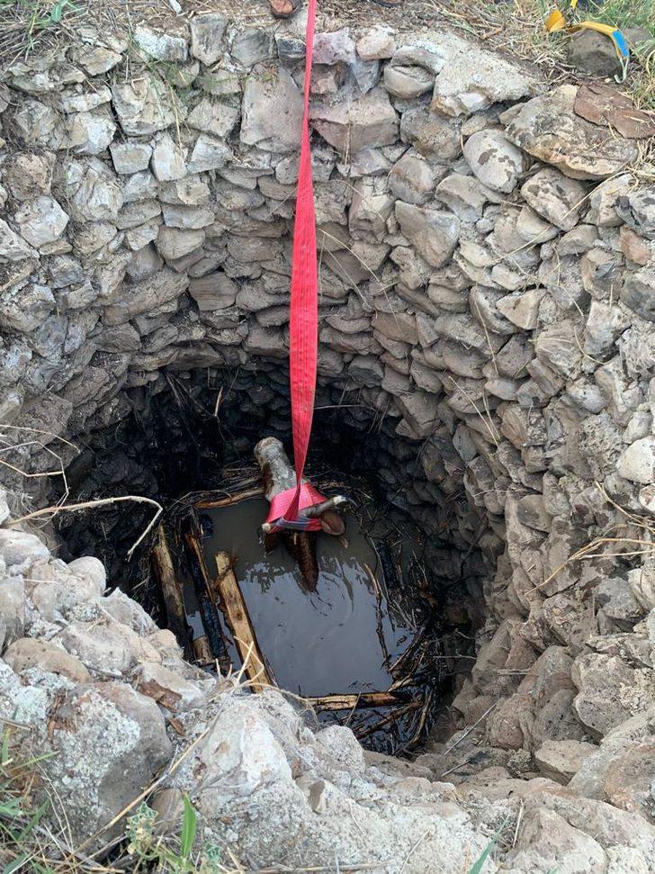 Elazığ'da kuyuya düşen inek itfaiye ekiplerince kurtarıldı G2