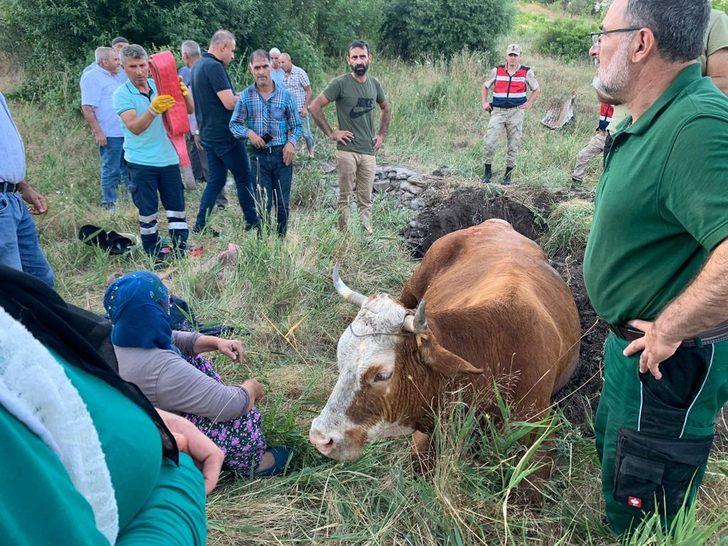 Elazığ'da kuyuya düşen inek itfaiye ekiplerince kurtarıldı G3