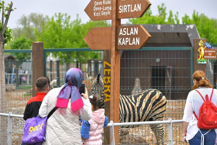 Kayseri'de hayvanat bahçesini Kurban Bayramı'nda 50 bin kişi ziyaret etti G3