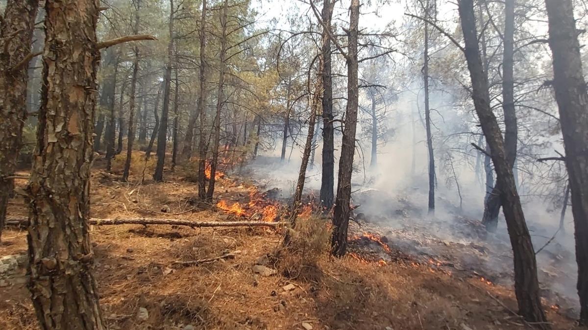 G&Uuml;NCELLEME 2 - Dat&ccedil;a'da &ccedil;ıkan orman yangınına havadan ve karadan m&uuml;dahale ediliyor