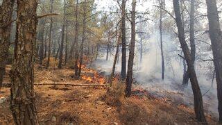 GÜNCELLEME 2 - Datça'da çıkan orman yangınına havadan ve karadan müdahale ediliyor