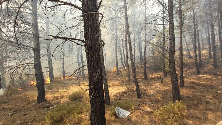 GÜNCELLEME 2 - Datça'da çıkan orman yangınına havadan ve karadan müdahale ediliyor G3