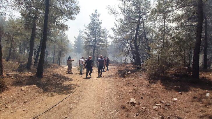 GÜNCELLEME 2 - Datça'da çıkan orman yangınına havadan ve karadan müdahale ediliyor G4