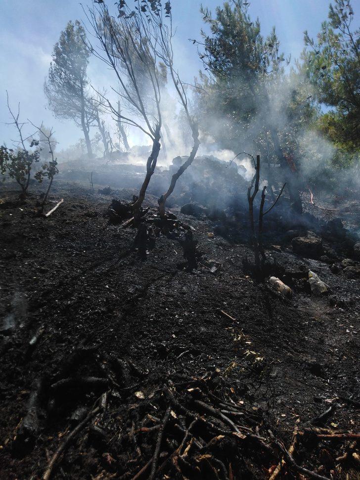 Gaziantep'te örtü yangınında 1,5 hektarlık alan zarar gördü G2