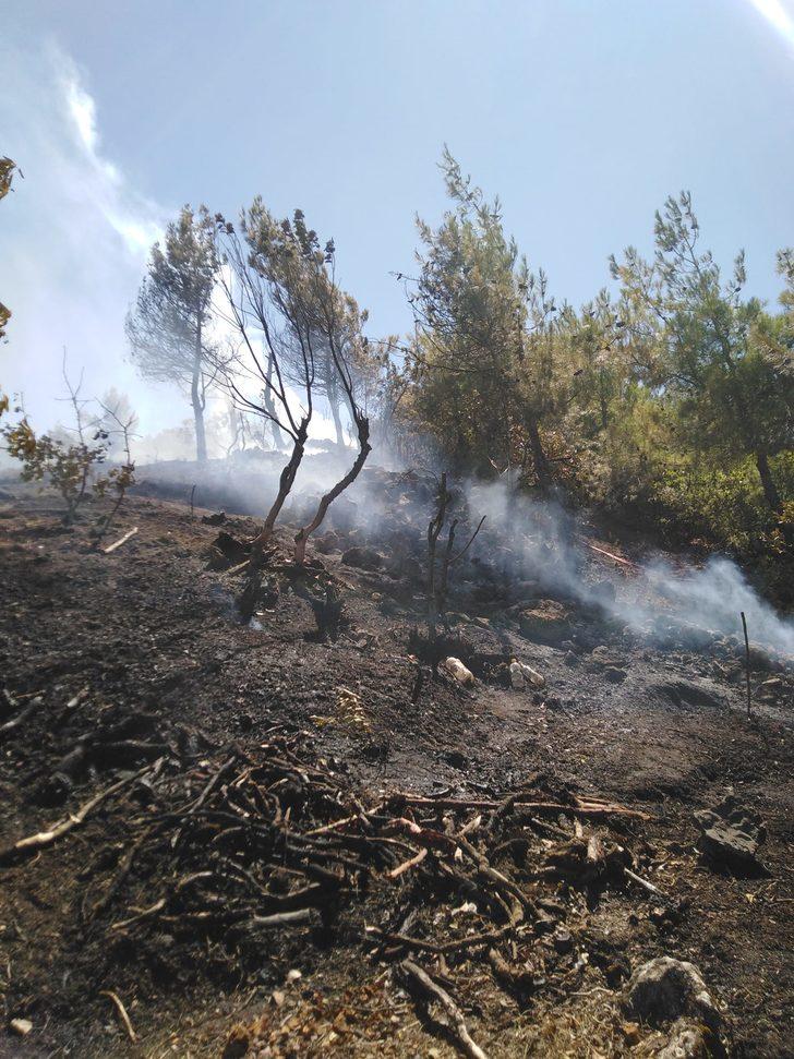 Gaziantep'te örtü yangınında 1,5 hektarlık alan zarar gördü G3