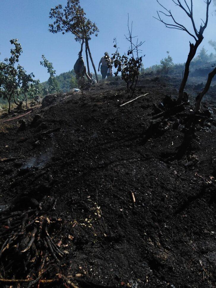 Gaziantep'te örtü yangınında 1,5 hektarlık alan zarar gördü G4