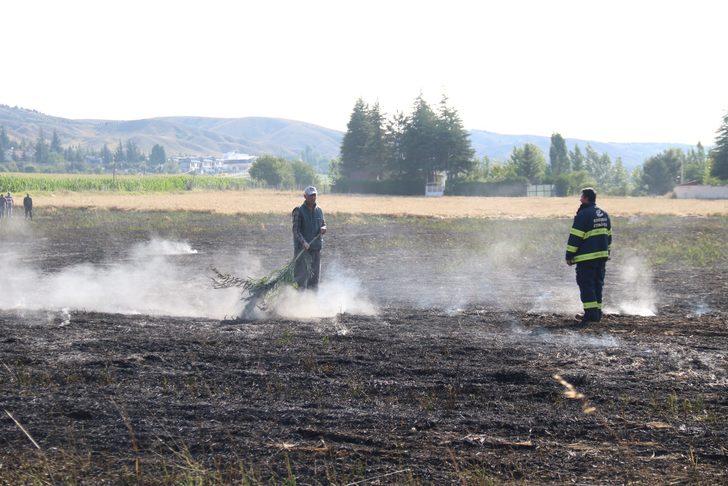 Eskişehir'de 40 dönüm tarım arazisi yangında zarar gördü G1