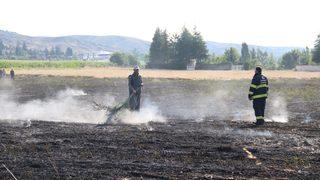 Eskişehir'de 40 dönüm tarım arazisi yangında zarar gördü