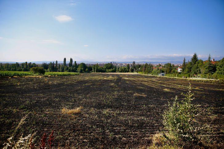 Eskişehir'de 40 dönüm tarım arazisi yangında zarar gördü G2