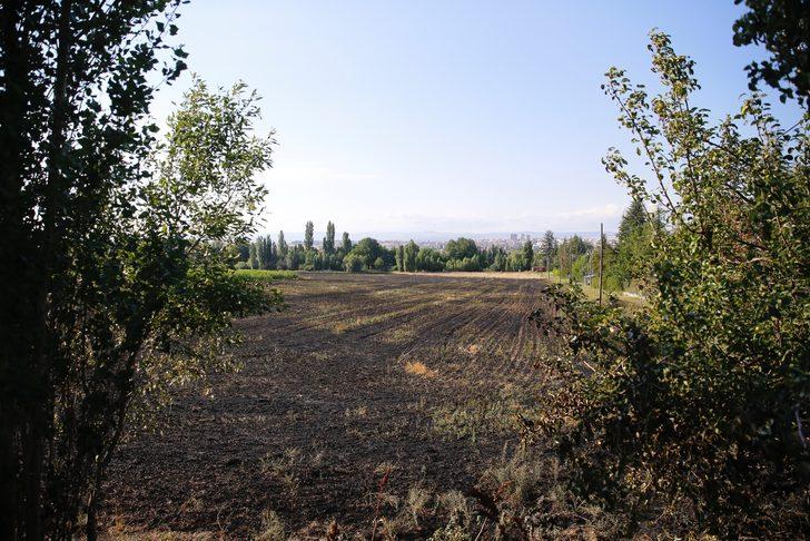 Eskişehir'de 40 dönüm tarım arazisi yangında zarar gördü G3