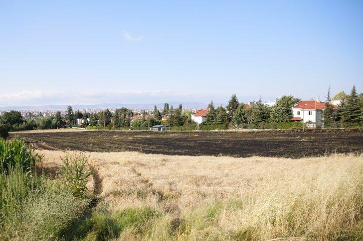 Eskişehir'de 40 dönüm tarım arazisi yangında zarar gördü G4