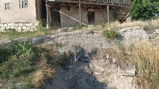 Gözlerine inanamadılar! Yağmurdan sonra ortaya çıktı... Hemen ekiplere haber verdiler