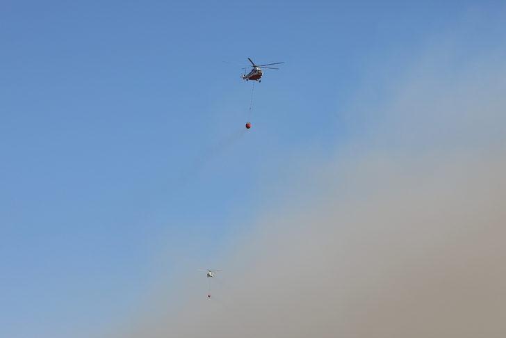 GÜNCELLEME 2 - Çeşme'de makilik alanda çıkan yangına müdahale ediliyor G2