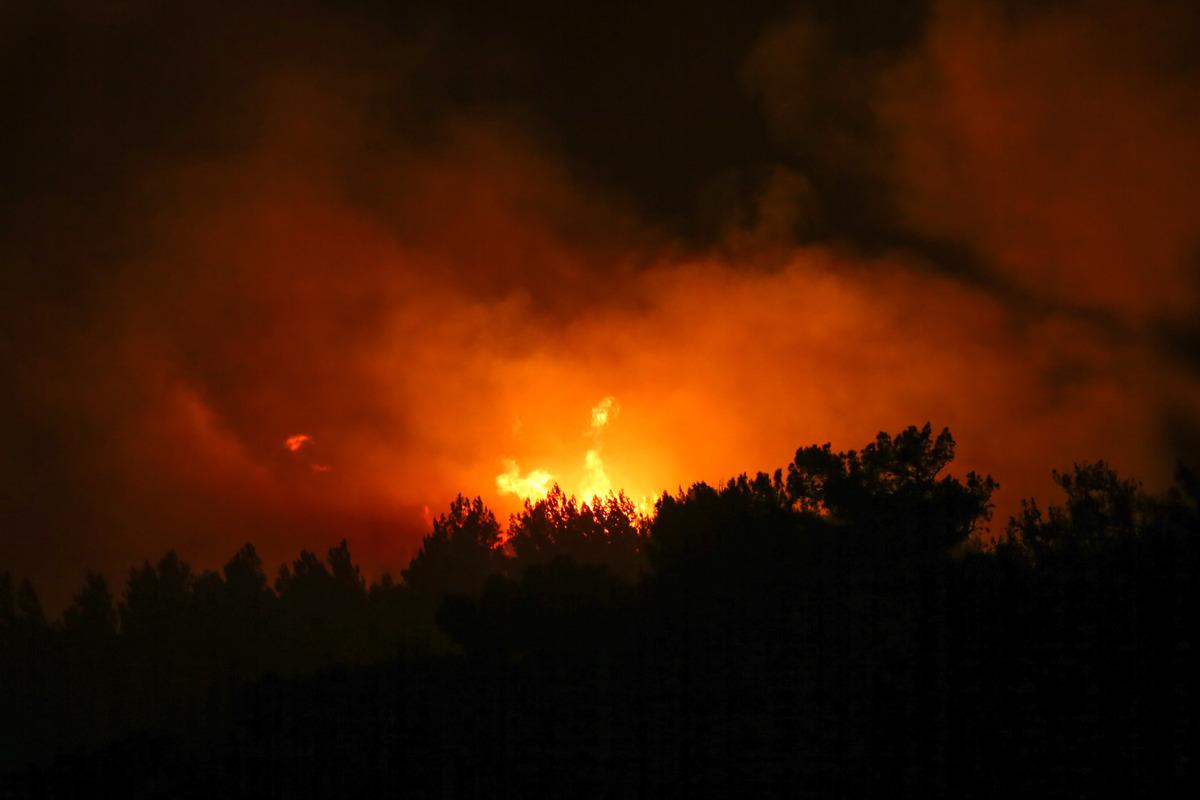 Dat&ccedil;a'daki orman yangınına m&uuml;dahale s&uuml;r&uuml;yor